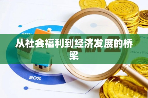 中沙从社会福利到经济发展的桥梁