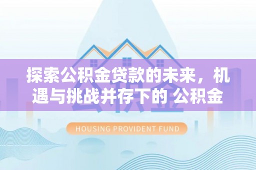 中沙探索公积金贷款的未来，机遇与挑战并存下的 公积金贷款风险防控