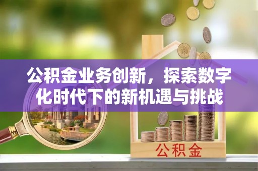 中沙公积金业务创新，探索数字化时代下的新机遇与挑战