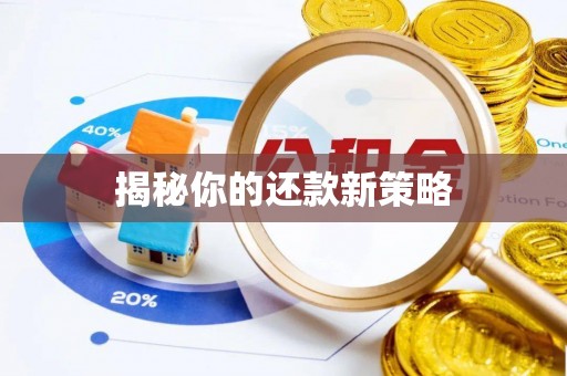 中沙揭秘你的还款新策略