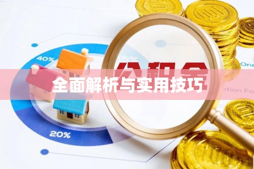 中沙全面解析与实用技巧