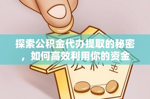 中沙探索公积金代办提取的秘密，如何高效利用你的资金