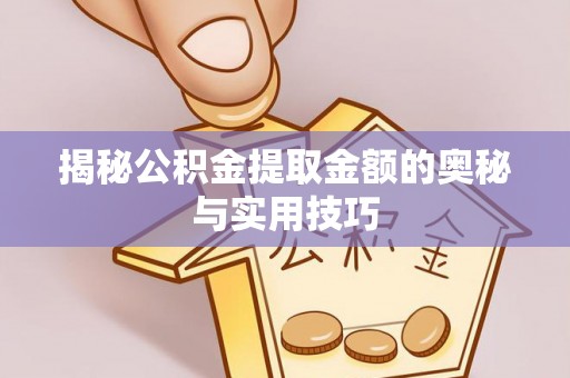 中沙揭秘公积金提取金额的奥秘与实用技巧