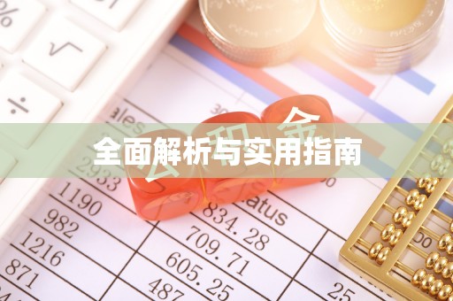 中沙全面解析与实用指南