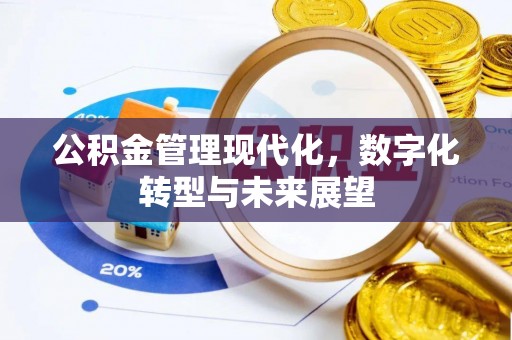 中沙公积金管理现代化，数字化转型与未来展望