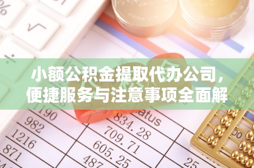 中沙小额公积金提取代办公司，便捷服务与注意事项全面解析