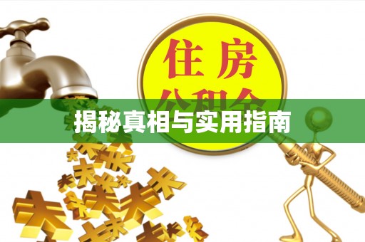中沙揭秘真相与实用指南