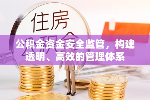 中沙公积金资金安全监管，构建透明、高效的管理体系
