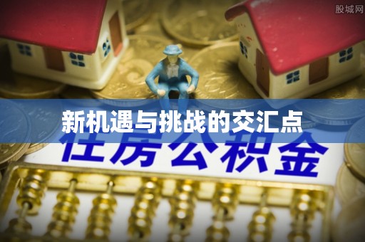 中沙新机遇与挑战的交汇点