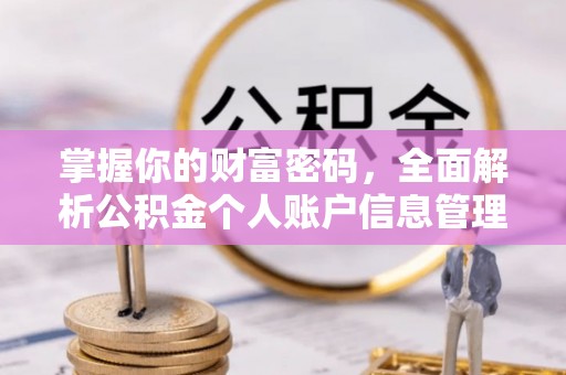 中沙掌握你的财富密码，全面解析公积金个人账户信息管理与优化