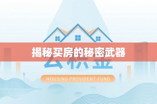 中沙揭秘买房的秘密武器