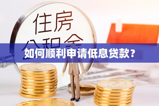 中沙如何顺利申请低息贷款？