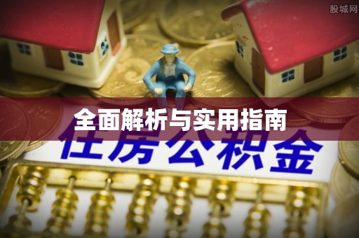 中沙全面解析与实用指南