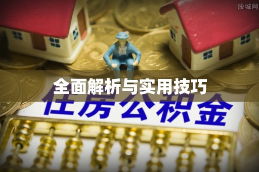 中沙全面解析与实用技巧