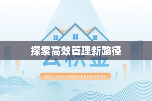 中沙探索高效管理新路径