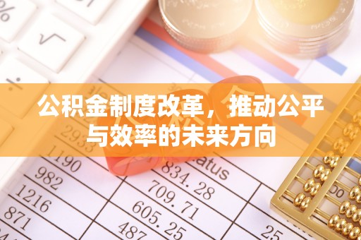 中沙公积金制度改革，推动公平与效率的未来方向