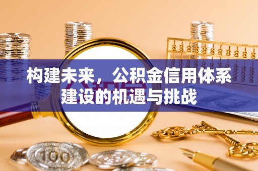 中沙构建未来，公积金信用体系建设的机遇与挑战
