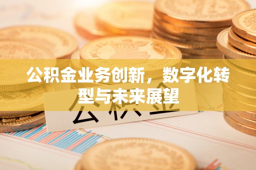 中沙公积金业务创新，数字化转型与未来展望