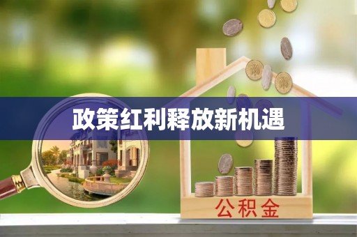 中沙政策红利释放新机遇
