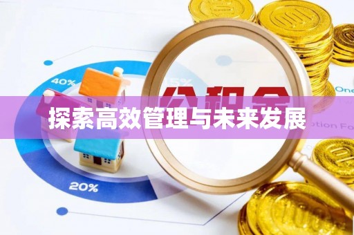 中沙探索高效管理与未来发展