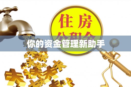 中沙你的资金管理新助手