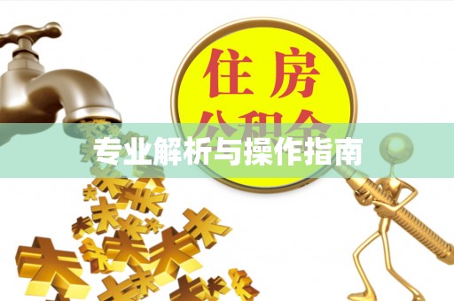 中沙专业解析与操作指南