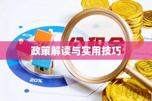 中沙政策解读与实用技巧