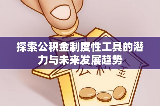 中沙探索公积金制度性工具的潜力与未来发展趋势