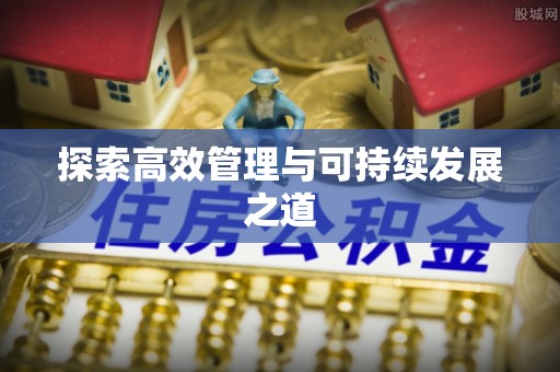 中沙探索高效管理与可持续发展之道