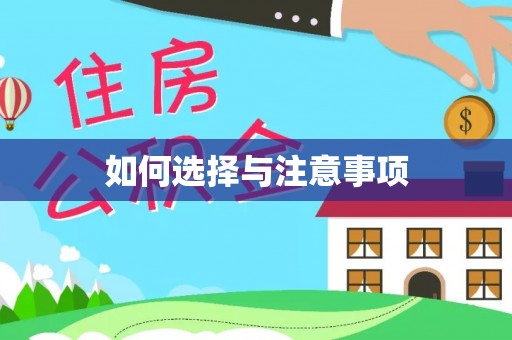 中沙如何选择与注意事项
