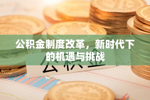 中沙公积金制度改革，新时代下的机遇与挑战