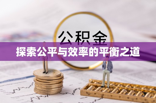 中沙探索公平与效率的平衡之道
