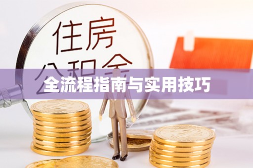 中沙全流程指南与实用技巧
