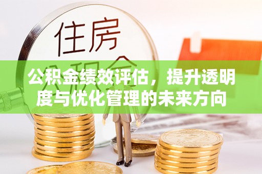 中沙公积金绩效评估，提升透明度与优化管理的未来方向