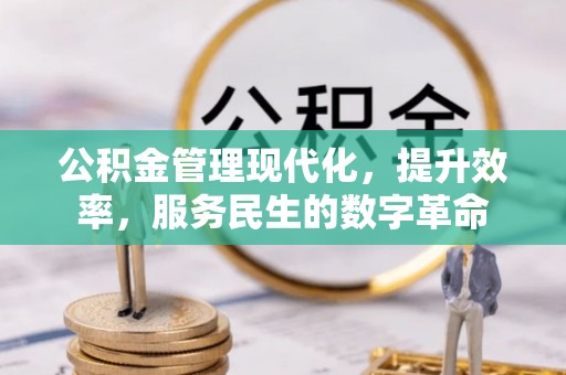 中沙公积金管理现代化，提升效率，服务民生的数字革命