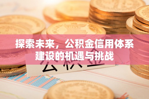 中沙探索未来，公积金信用体系建设的机遇与挑战