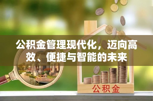 中沙公积金管理现代化，迈向高效、便捷与智能的未来