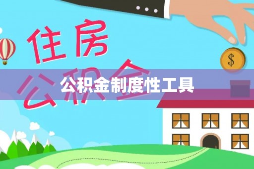中沙公积金制度性工具