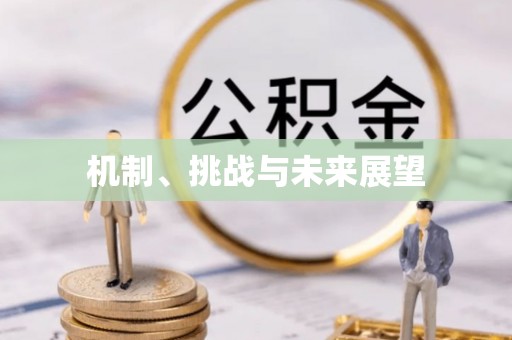 中沙机制、挑战与未来展望