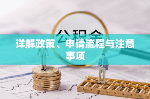 中沙详解政策、申请流程与注意事项