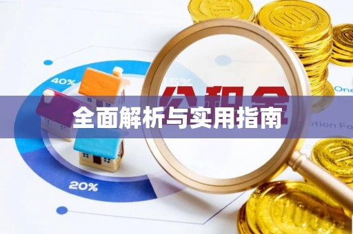 中沙全面解析与实用指南