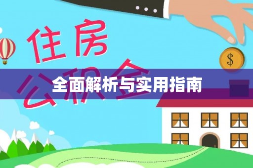 中沙全面解析与实用指南