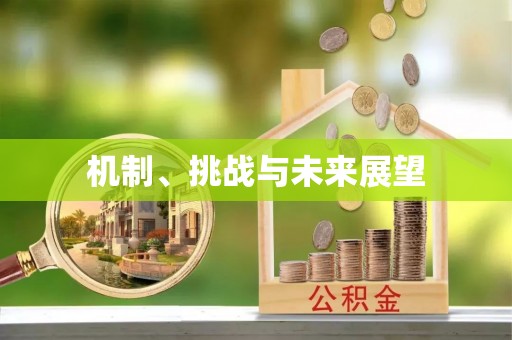 中沙机制、挑战与未来展望